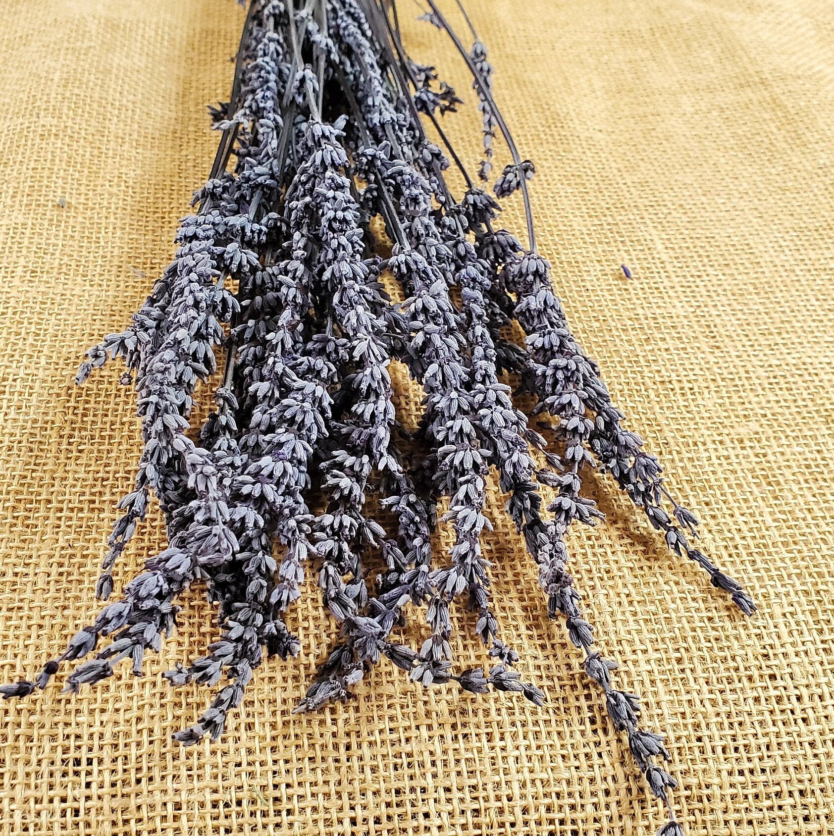 Organic Dried Lavender: Bulk Wholesale, Relaxing Aroma (4oz)